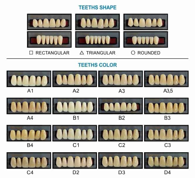 Tooth Color Chart C1 Colorpaints.co